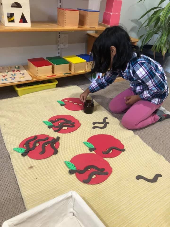 Inside a Silver Ridge Montessori classroom 2